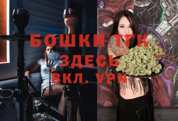 трава Арсеньев