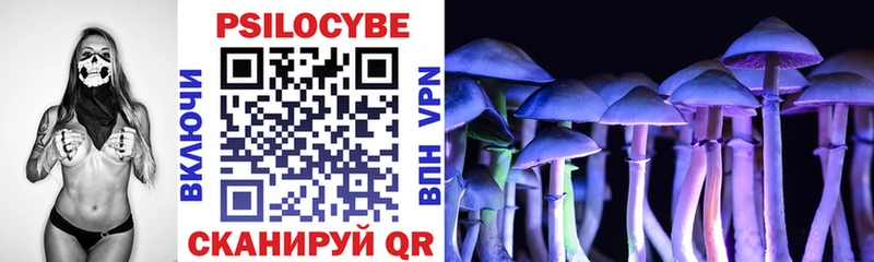Псилоцибиновые грибы Psilocybe  гидра рабочий сайт  Пыть-Ях 